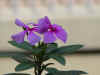 DSC00001.JPG (487251 �r?)