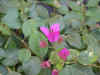 DSC00003.JPG (560092 �r?)
