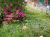DSC00008.JPG (610076 �r?)