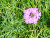 DSC00012.JPG (577341 �r?)