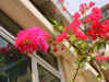 DSC00024.JPG (608357 �r?)