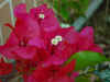 DSC00025.JPG (560417 �r?)