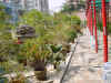 DSC00047.JPG (613517 �r?)
