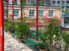 DSC00051.JPG (606409 �r?)