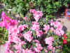 DSC00054.JPG (597170 �r?)
