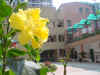 DSC00059.JPG (602769 �r?)