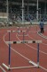 Thumbs/tn_Dsc_0008.jpg