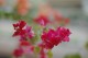 Thumbs/tn_Dsc_0001.jpg