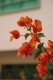 Thumbs/tn_Img_8302.jpg