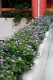 Thumbs/tn_Img_8322.jpg