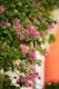 Thumbs/tn__mg_8604.jpg
