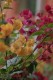 Thumbs/tn__mg_8659.jpg