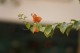 Thumbs/tn__mg_8798.jpg