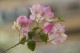 Thumbs/tn__mg_8929.jpg