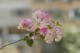 Thumbs/tn__mg_8930.jpg