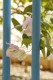 Thumbs/tn__mg_8940.jpg