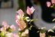 Thumbs/tn__mg_8962.jpg