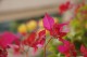 Thumbs/tn__mg_9033.jpg