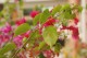 Thumbs/tn__mg_9037.jpg
