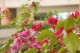 Thumbs/tn__mg_9039.jpg
